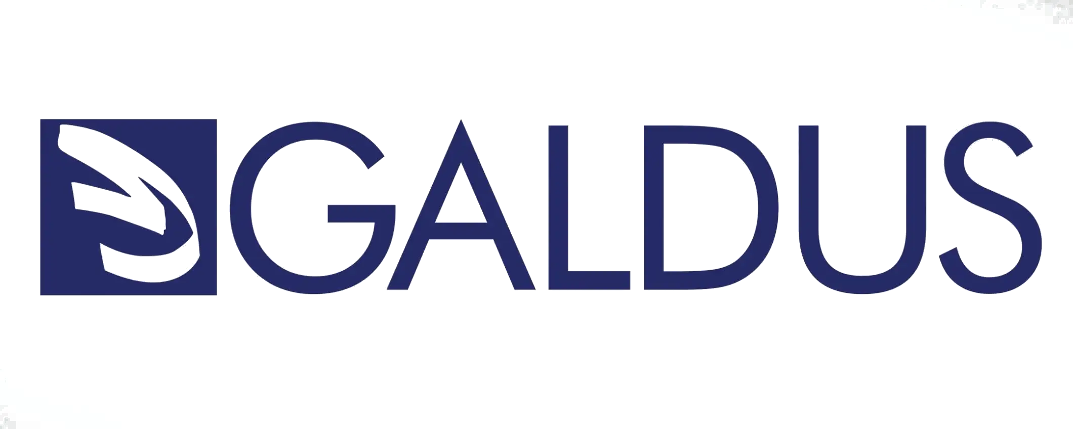 Galdus Logo